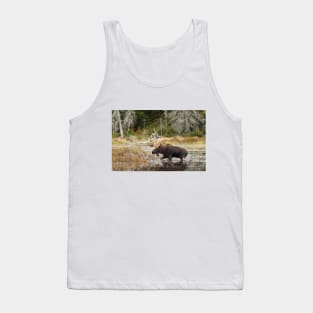 Bull moose - Algonquin Park Tank Top